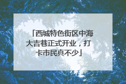 西城特色街区中海大吉巷正式开业，打卡市民真不少